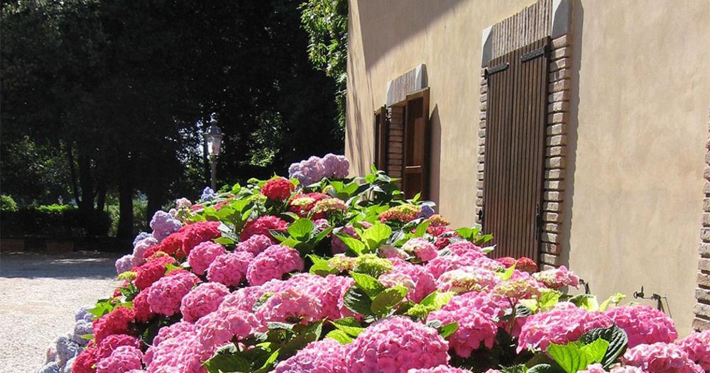 Montecorneo Country House Ponte San Giovanni Exterior photo